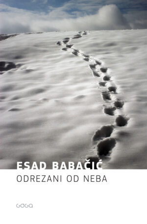Esad Babačić – Odrezani od neba